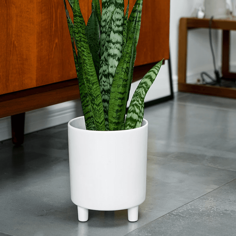 Pisa Planter, H20 x W24 x D24cm, White