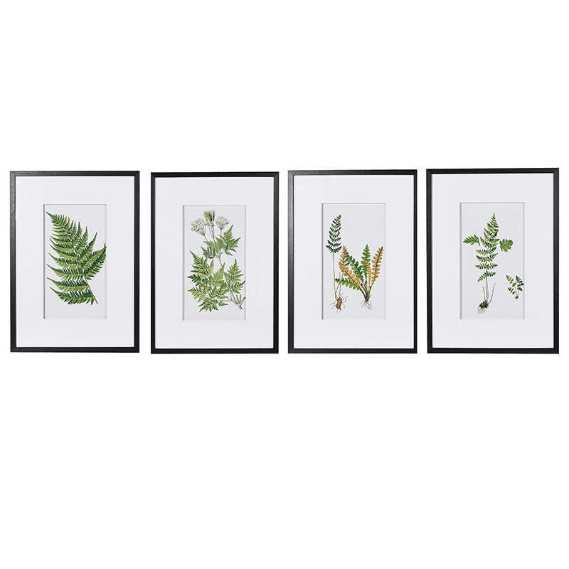 Fern Set of 4 Prints, Green