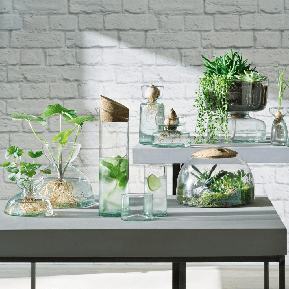 Canopy Garden terrarium, H16.5 x W24cm, recycled glass and cork