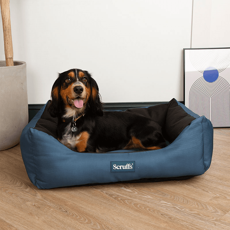 Expedition Dog Bed, 75 x 60cm, Atlantic Blue