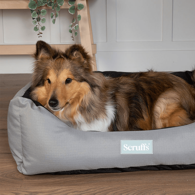 Expedition Dog Bed, 90 x 70cm, Storm Grey