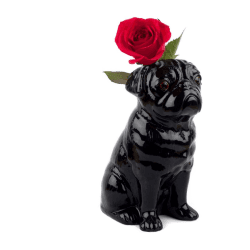 Image showing the Pug Large flower vase, L12.5 x D21 x H22.6cm, Black product.
