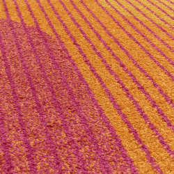Image showing the Muse Retro Rug, L120 x W170cm product.