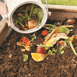 Image showing the Eco compost pail, 28 x 18cm - 4.5 litre, Cream product.