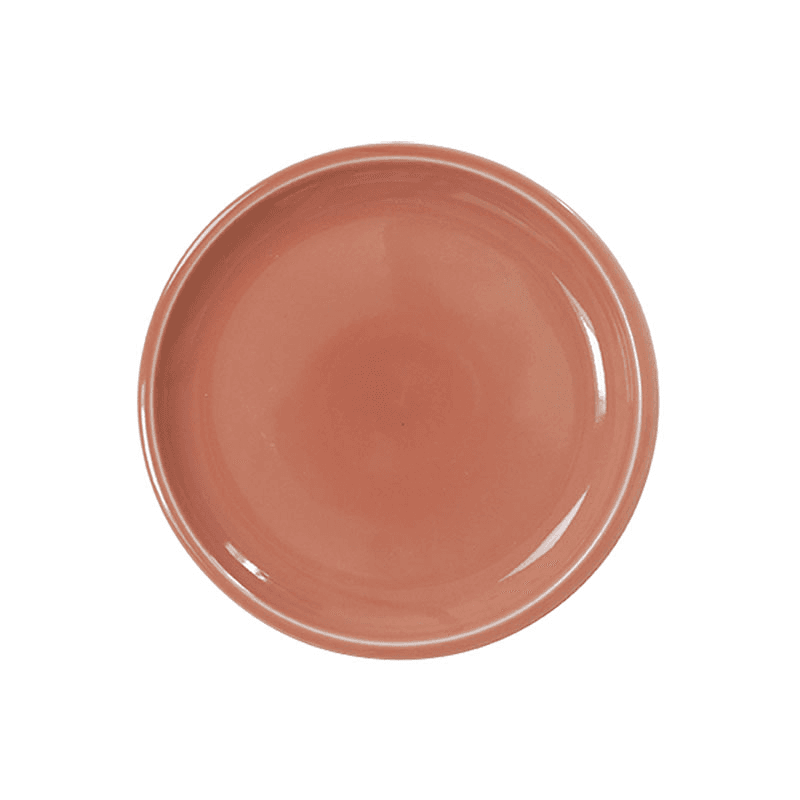 Cantine Plate, D24cm, Terre Cuite