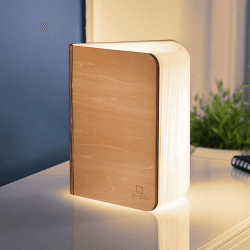 Image showing the Mini smart book light, L12.2 x W9 x H2.5cm, Maple product.