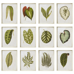 Image showing the Exotic Leaf Set of 12 Framed Prints, Green product.