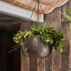 Image showing the Mayfair Indoor Hanging Planter, H21 x D30cm, Brown product.