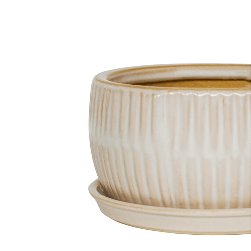 Bonsai Set of 2 Planters, White