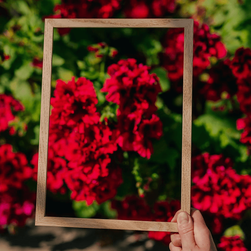 Marco Frame, A3, Classic Oak