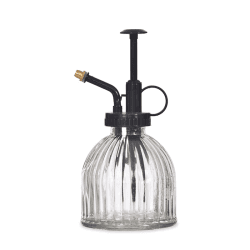 Image showing the Plant Mister, H15.5cm, Clear product.