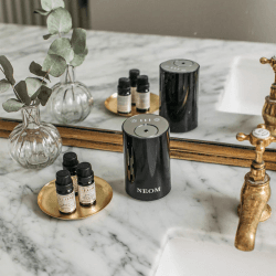Image showing the Wellbeing Pod Mini Essential Oil Diffuser, Black product.