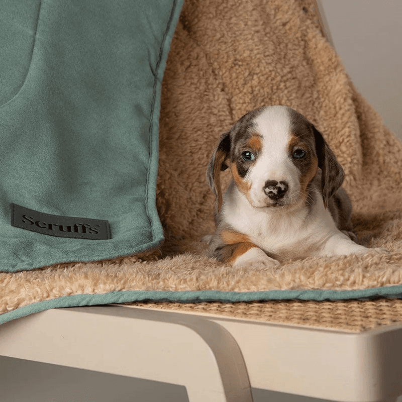 Snuggle Pet Blanket, 110 x 72.5cm, Sage Green
