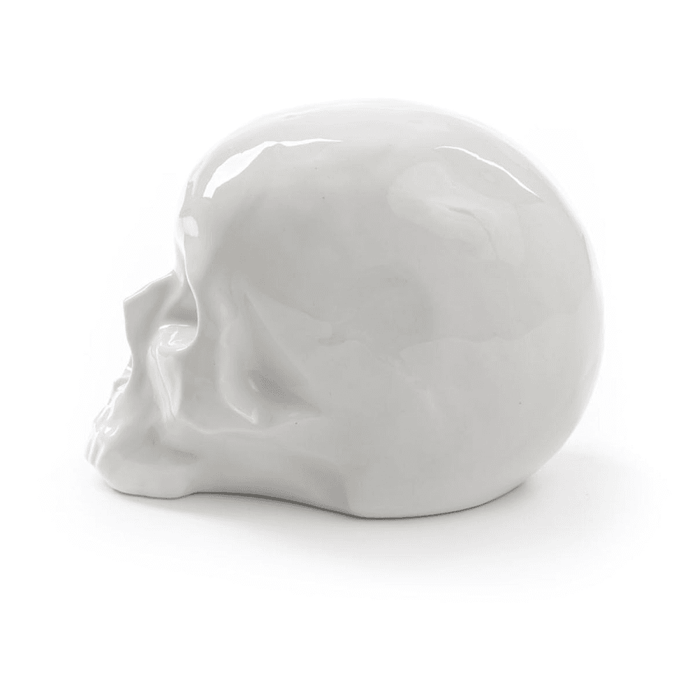 Skull, Memorabilia, White