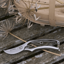Image showing the Secateurs, Silver product.
