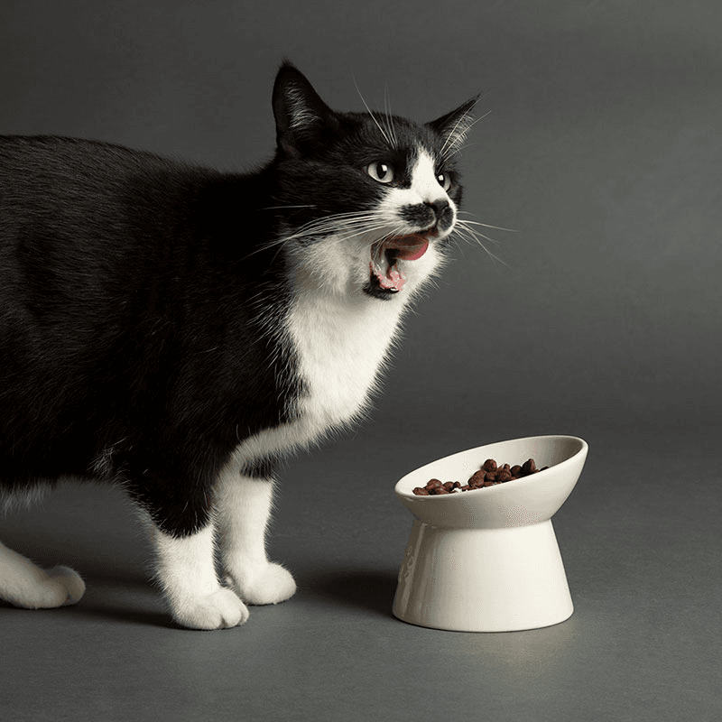 Icon Cat Bowl, D12cm, Cream