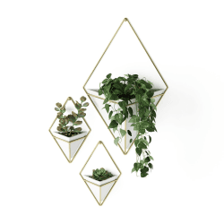 Image showing the Trigg Set of 2 small wall vessels, H19 x W6cm, White/Brass product.