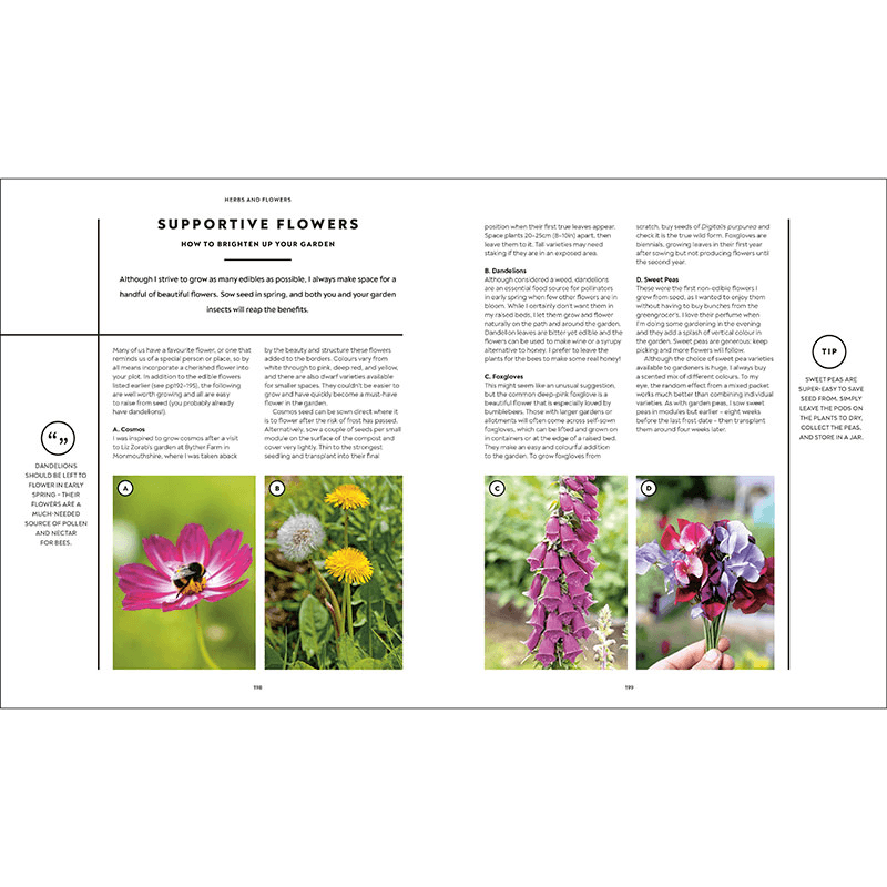 Huw Richards Vegetable Growers Handbook