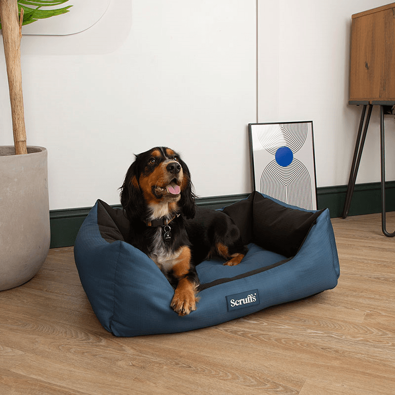 Expedition Dog Bed, 75 x 60cm, Atlantic Blue
