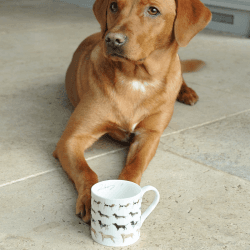Image showing the Woof Mug, 27.5cl product.