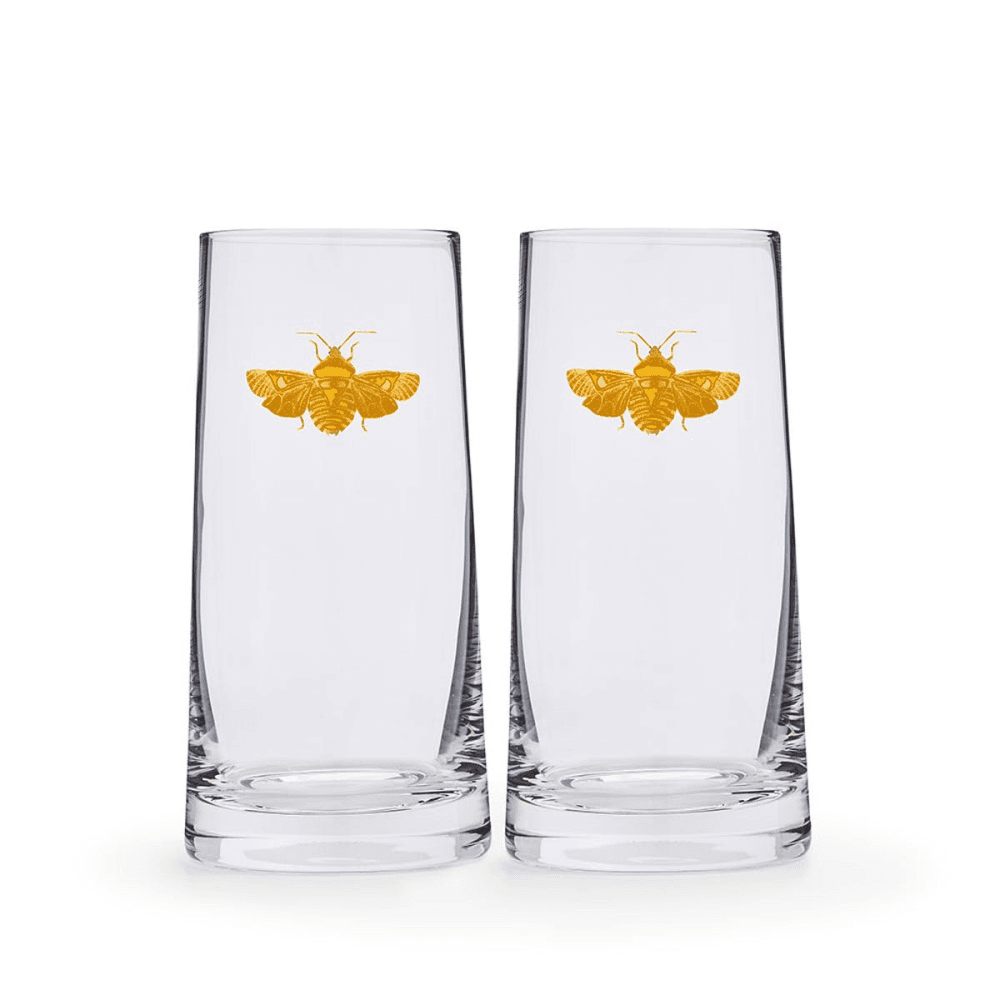 Creatures of Curiosity Pair of Highball Tumblers, Clear