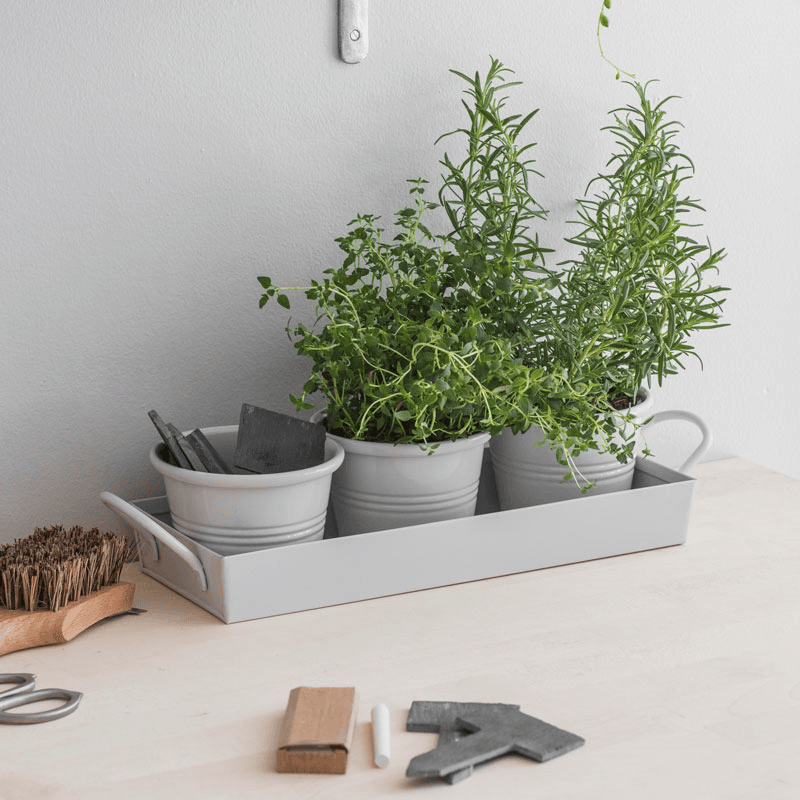 Classic Set of 3 Plant Pots with Tray, Chalk
