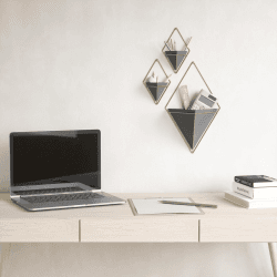 Image showing the Trigg Set of 2 wall vessels, Black/Brass product.
