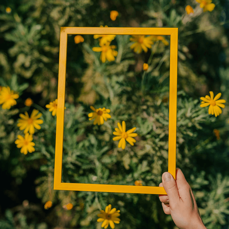 Marco Frame, A5, Naples Yellow