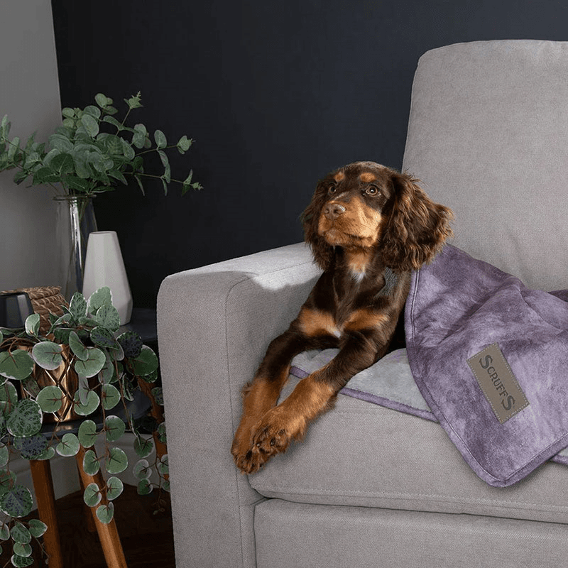 Kensington Pet Blanket, 110 x 75cm, Grey