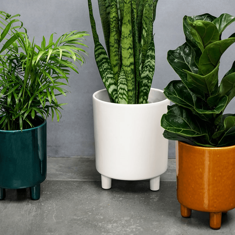 Pisa Planter, H20 x W24 x D24cm, White