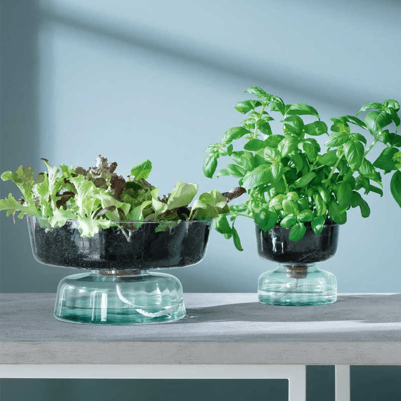 Canopy, Self Watering Planter