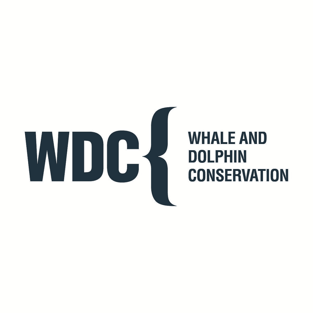 A Donation Towards Whale and Dolphin Conservation