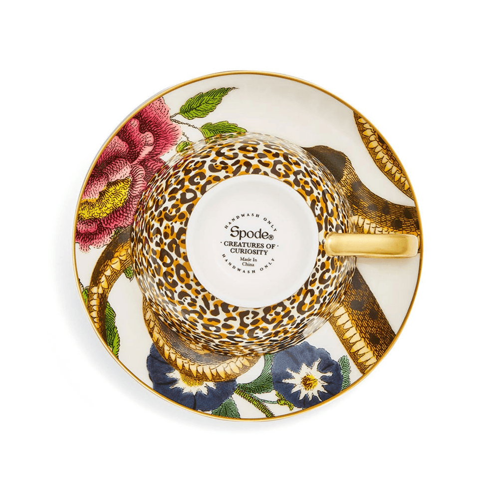 Creatures of Curiosity Tea Cup & Saucer Coupe, White