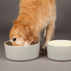Image showing the Icon Dog Bowl, D25cm, Light Grey product.