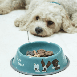 Image showing the Creatureware Dog Bowl product.