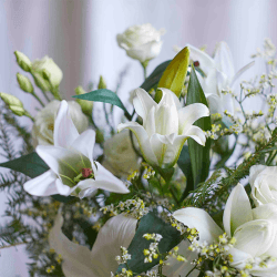 Image showing the Letterbox 3 Month Flower Subscription product.