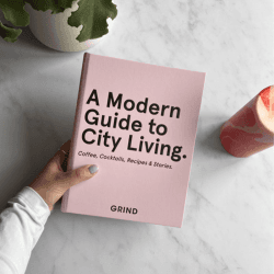Image showing the A Modern Guide to City Living Book product.