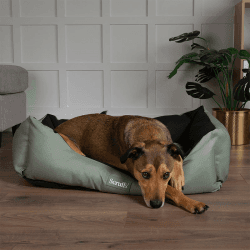 Image showing the Expedition Dog Bed, 60 x 50cm, Khaki Green product.