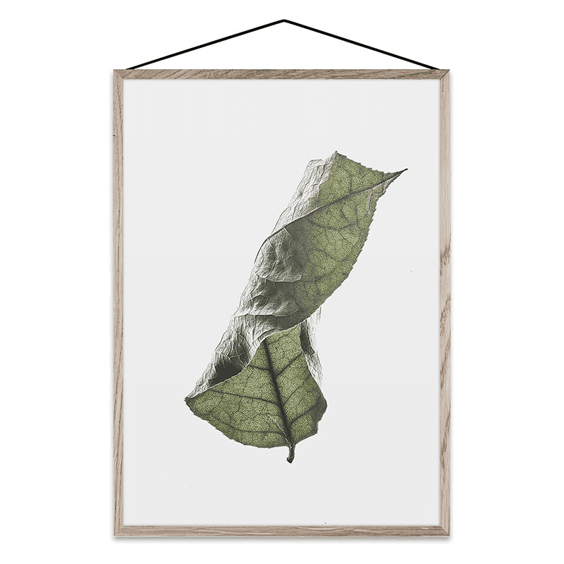 Floating Leaves 04 - A5 FSC Print, 21 x 15cm