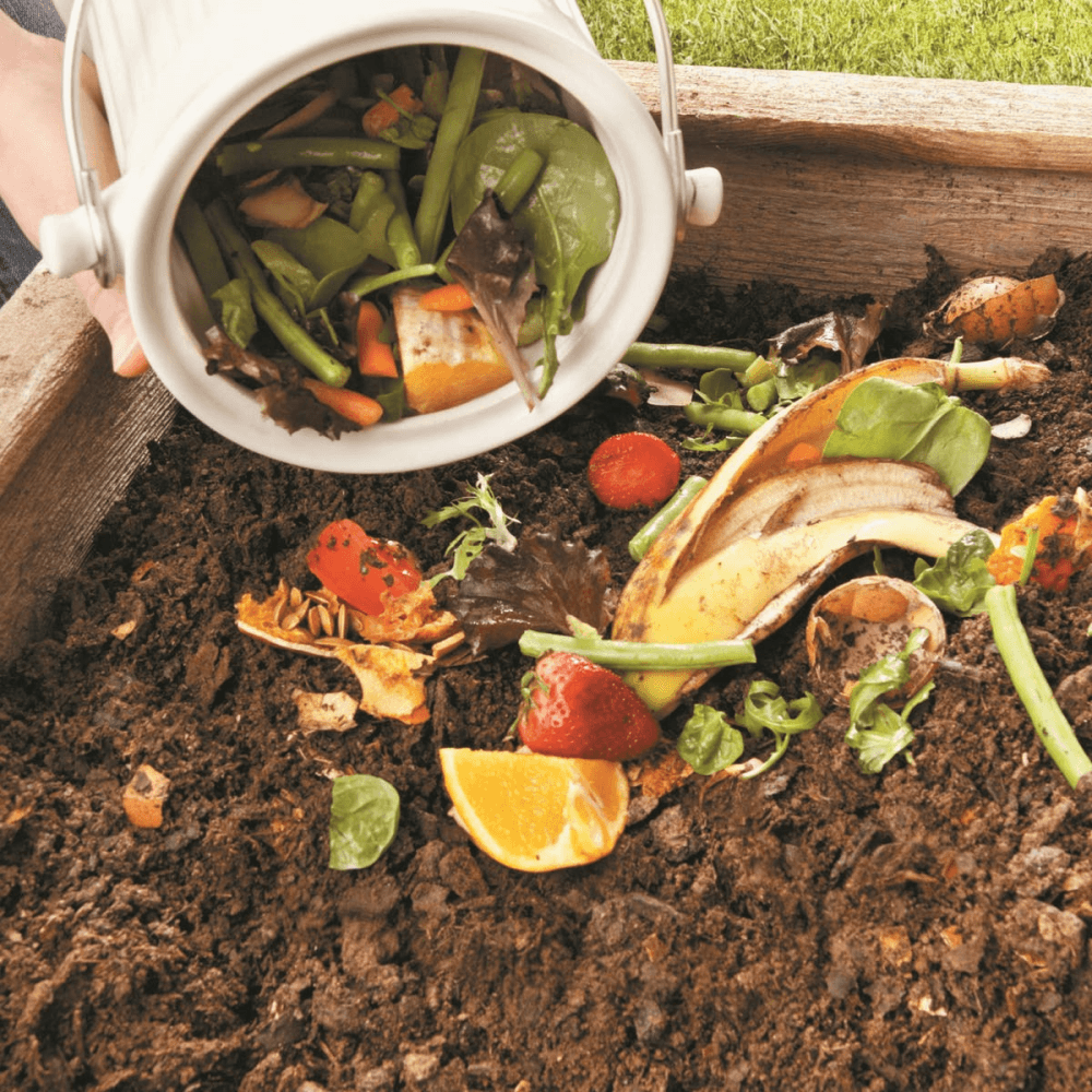 Eco compost pail, 28 x 18cm - 4.5 litre, Cream