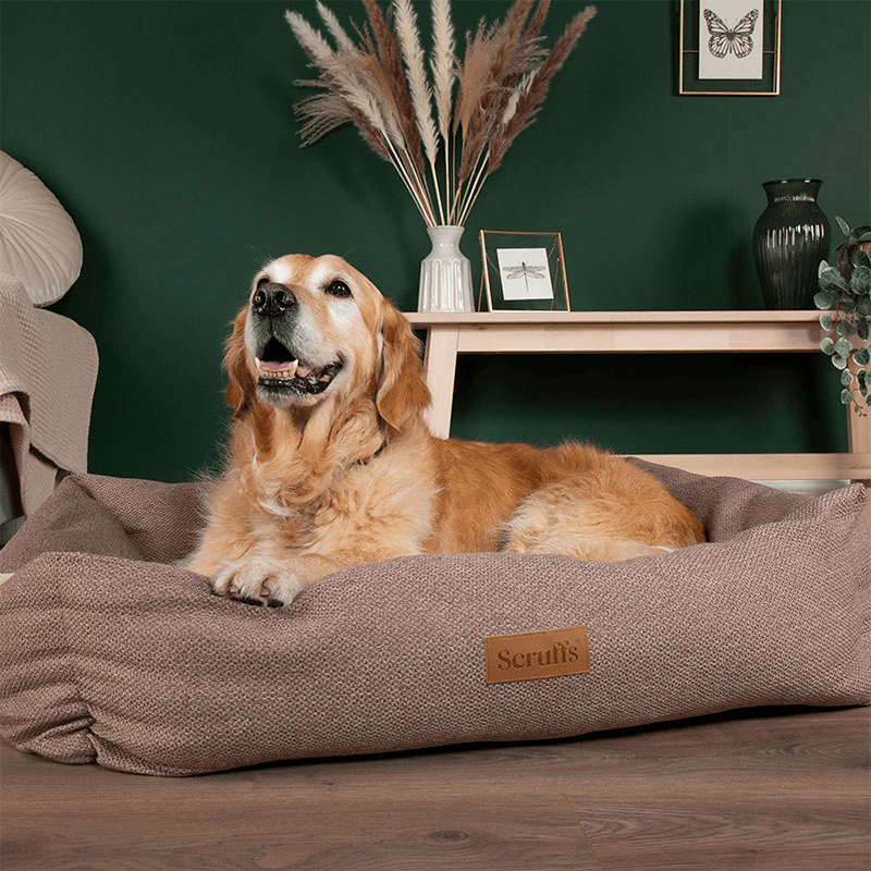 Seattle Box Bed, 90 x 70cm, Sienna Brown
