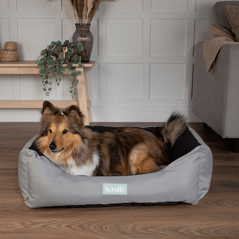 Expedition Dog Bed, 90 x 70cm, Storm Grey