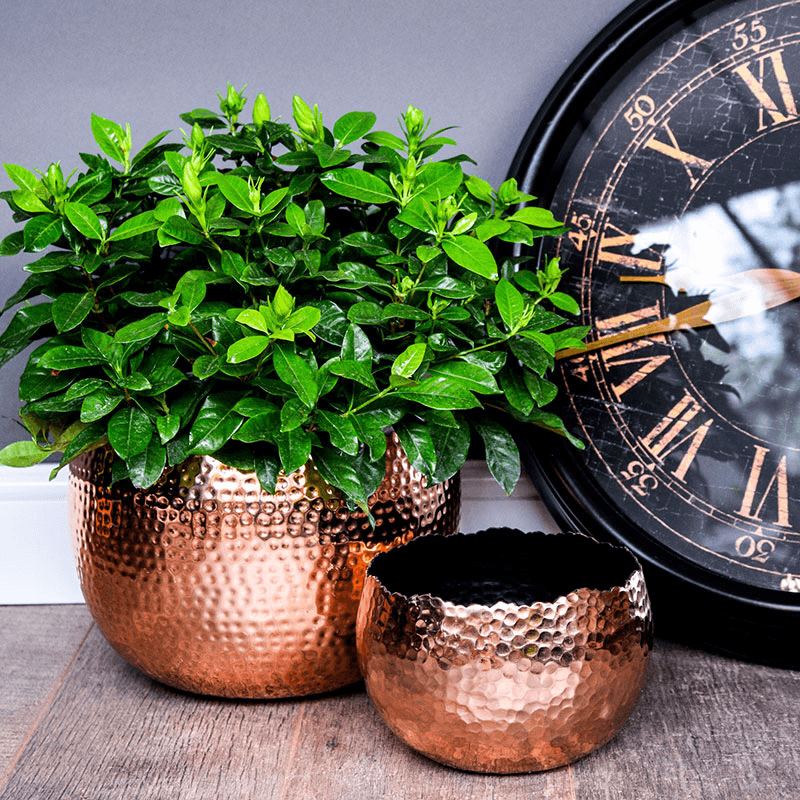 Hammered Bowl planter, H21 x W30 x D30cm, Copper