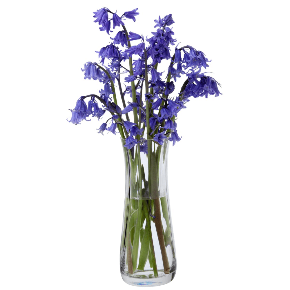 Florabundance Bluebell vase, H18.5cm, Clear