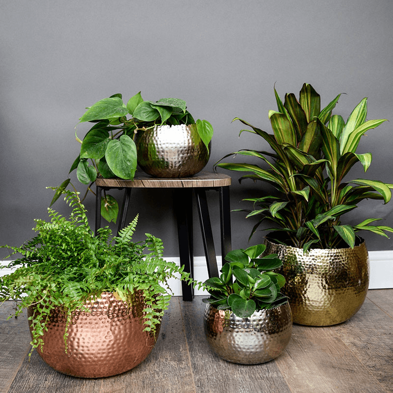 Hammered Bowl planter, H21 x W30 x D30cm, Copper