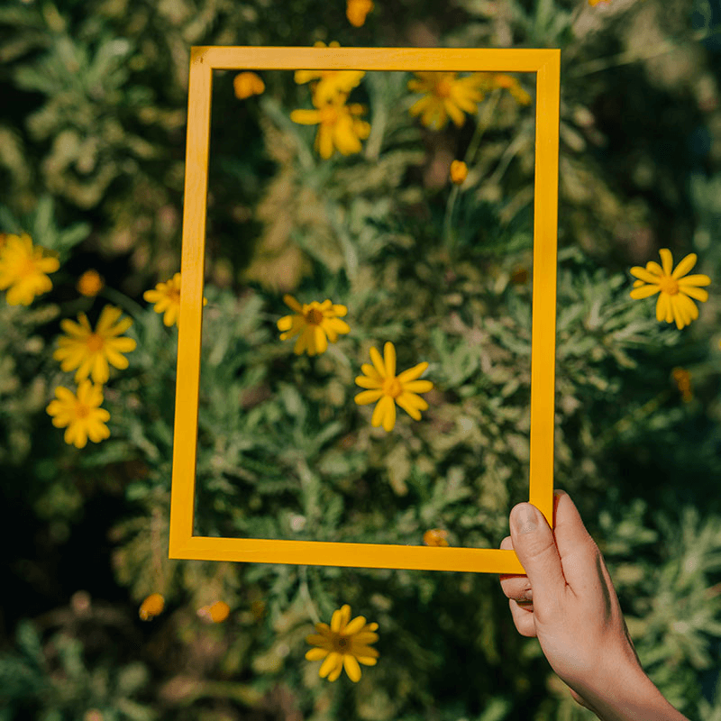 Marco Frame, A3, Naples Yellow