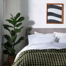 Image showing the Washed Cotton Percale Pair of Super King Pillowcases, White product.