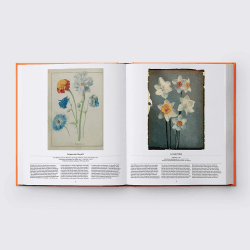 Image showing the Flower: Exploring the World in Bloom product.