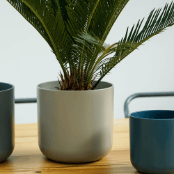 Image showing the Lisbon Planter, H25.5 x W26 x D26cm, Light Grey product.