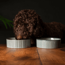 Image showing the Reactive Glaze Dog Bowl, D15cm, Pinstripe product.